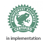 certificação 7